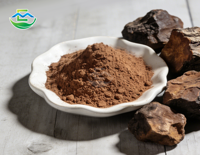 Chaga Extract Polysaccharides